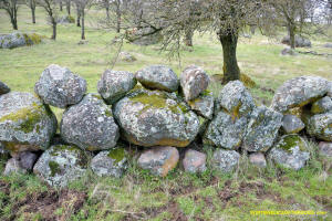 Schaeffer Ranch Stone Line, south section. Center stone weighs 1,500 to 2,000 lbs.