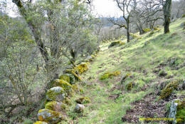 Schaffer Ranch stone line in the Sutter Buttes