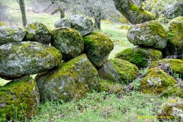 Schaffer Ranch stone line in the Sutter Buttes