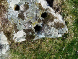 Dartmoor star holes